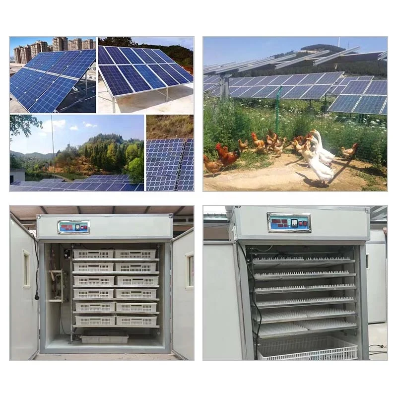 3kwh 5kwh 10kwh 5000 Eggs 2000 Capacity Solar Chicken Egg Incubator For Sale Philippines With System