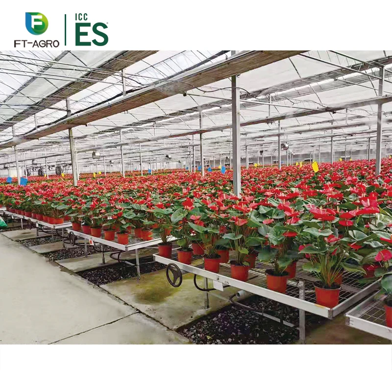 Agricultural equipmentHot sale and best selling Seeding Bed For Vegetable Growing