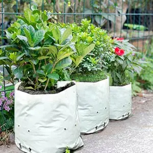 Useful White Plastic Planting Grow Bag Polyethylene Grow Bag For Plants Nursery Seeding Bags Plant Grow