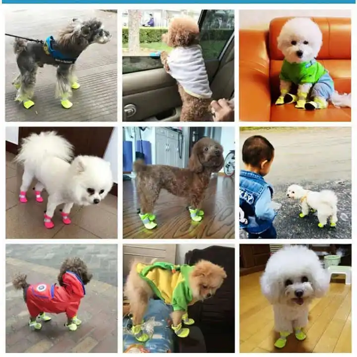 factory directly sale high quality durable colorful silicone waterproof pet dog shoes