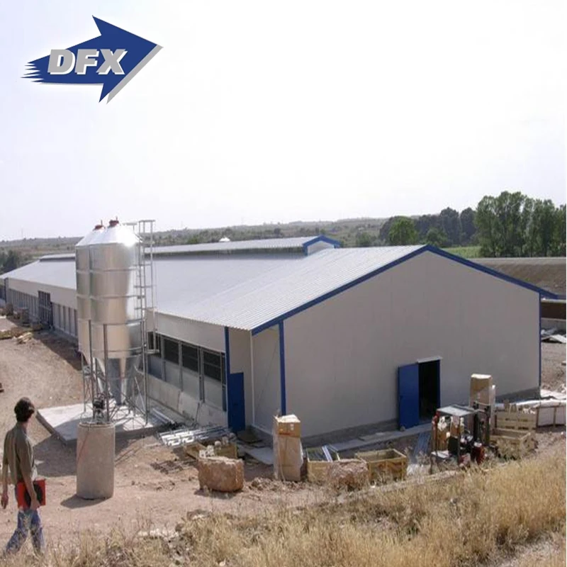 China steel frame layer poultry farm shed structures construction design building