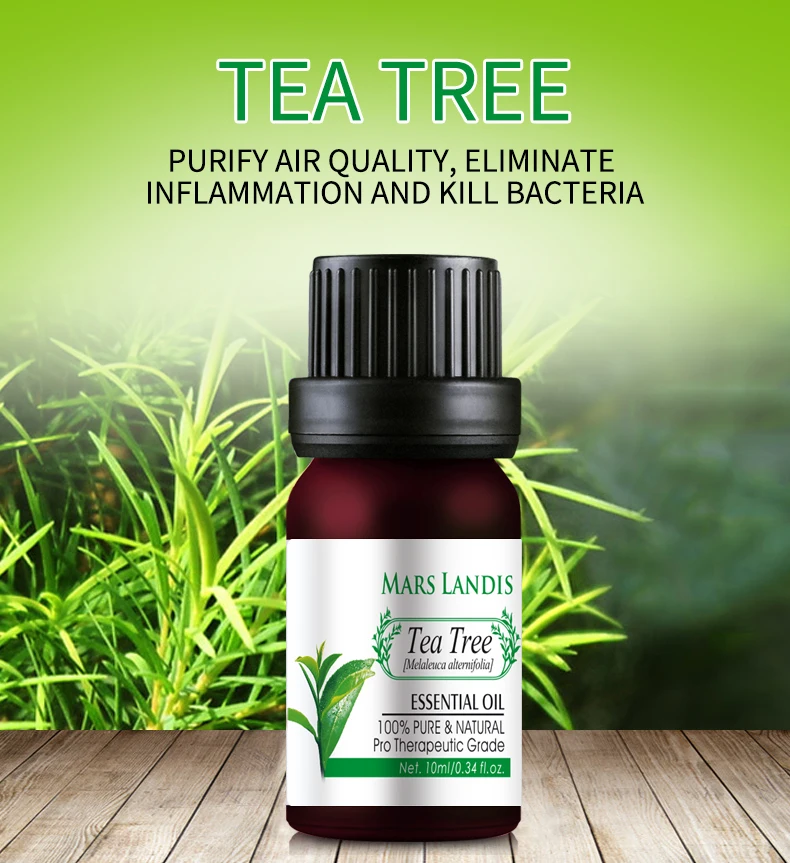 High quality 10ml  Aromatherapy  Diffuser 100% Pure Tea Tree  Essential Oil
