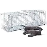 Easy to Use and Humane X-Large Animal Trap for Large Critters | Double Door Live Traps for Cats, Racoons, Groundhogs, Opossums