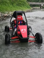 Wholesale Powerful Single Seat BJS Gasoline 180cc Adult Go Kart Off Road Buggy