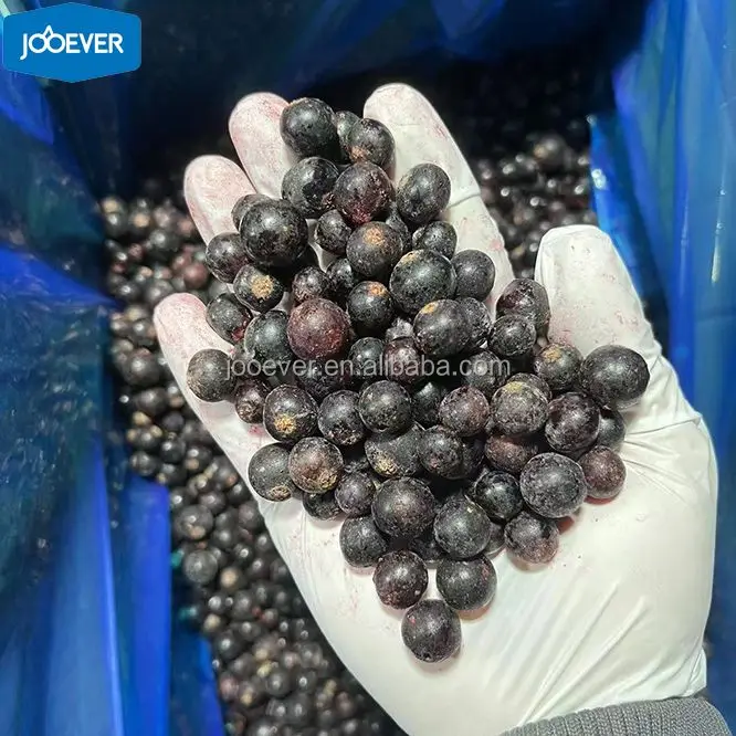 IQF Black Currant Whole Frozen Black Currant for Wholesale