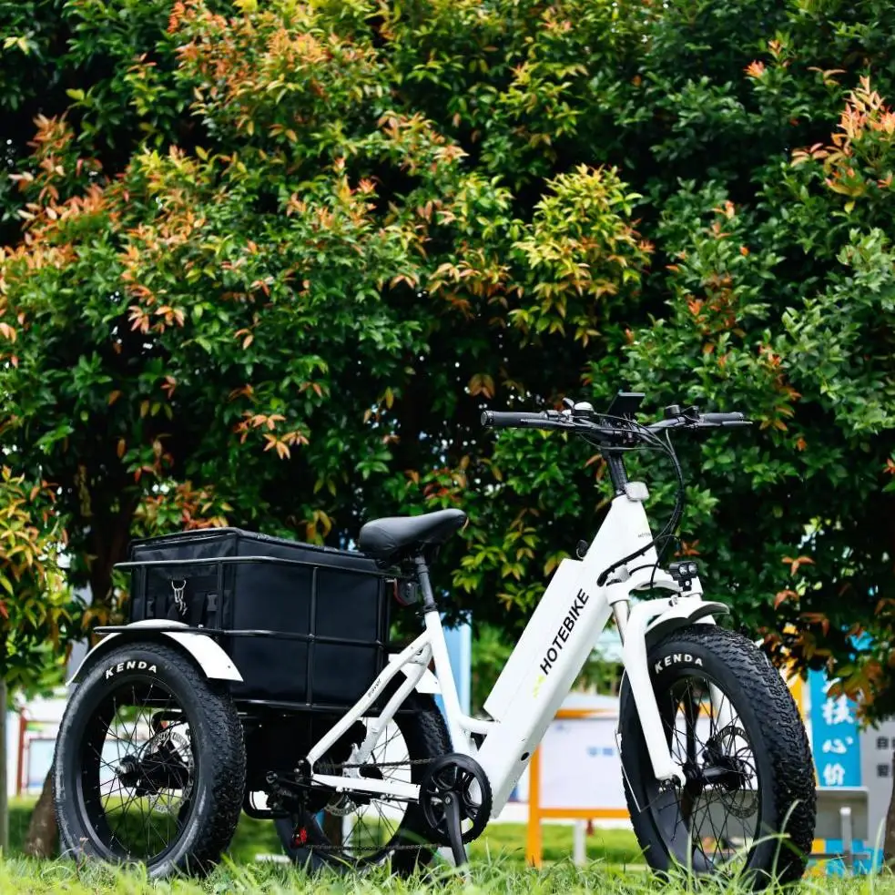 350w 250w electric cargo bike 20inch electric tricycle 500w 3 wheel electric bike for old man