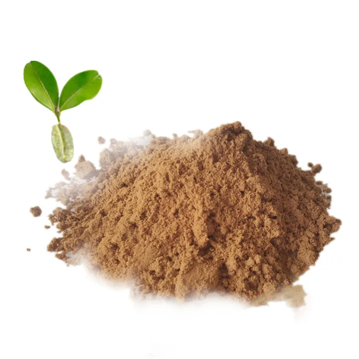 Best Selling Best Seller Chlorogenic Acid 45%50% Green Coffee Bean Extract