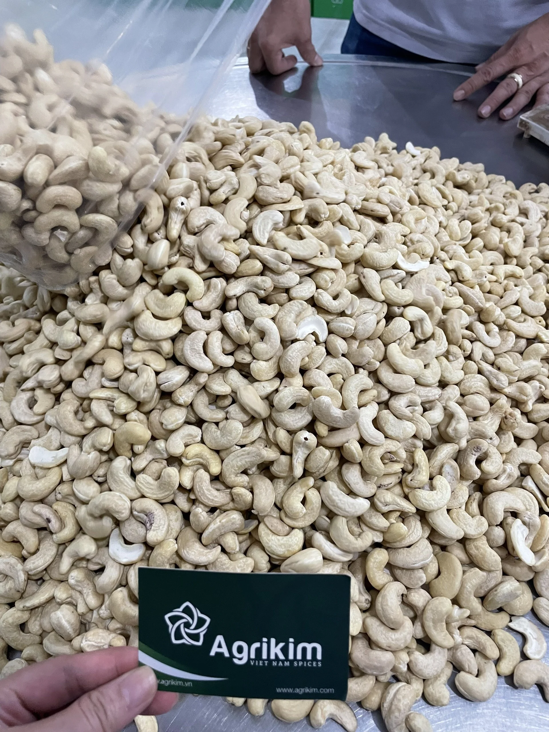 [Special deal] best Cashew Nut - Special Discount For Cashew Kernel Raw Cashew Nuts From Reliable Vietnam Supplier  +84363565928
