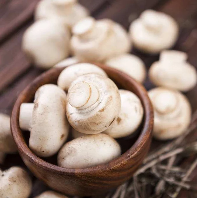 
Factory One stop purchase white mushroom fresh white button mushroom with high quality 