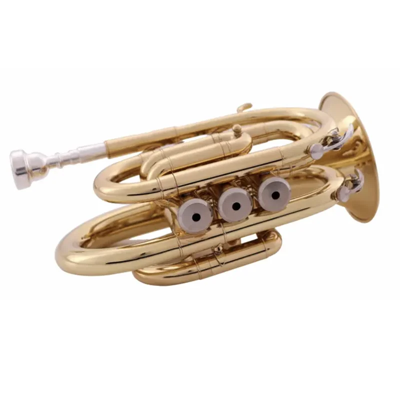 Cheaper price OEM manufacture gold lacquered student model pocket trumpet