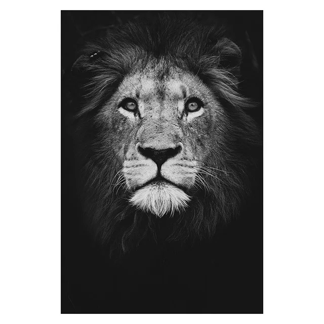 Wildlife Animal Lion Elephant Deer Zebra Posters and Canvas Prints Wall Art Oil Pictures Painting for Home Hotel Office Decor