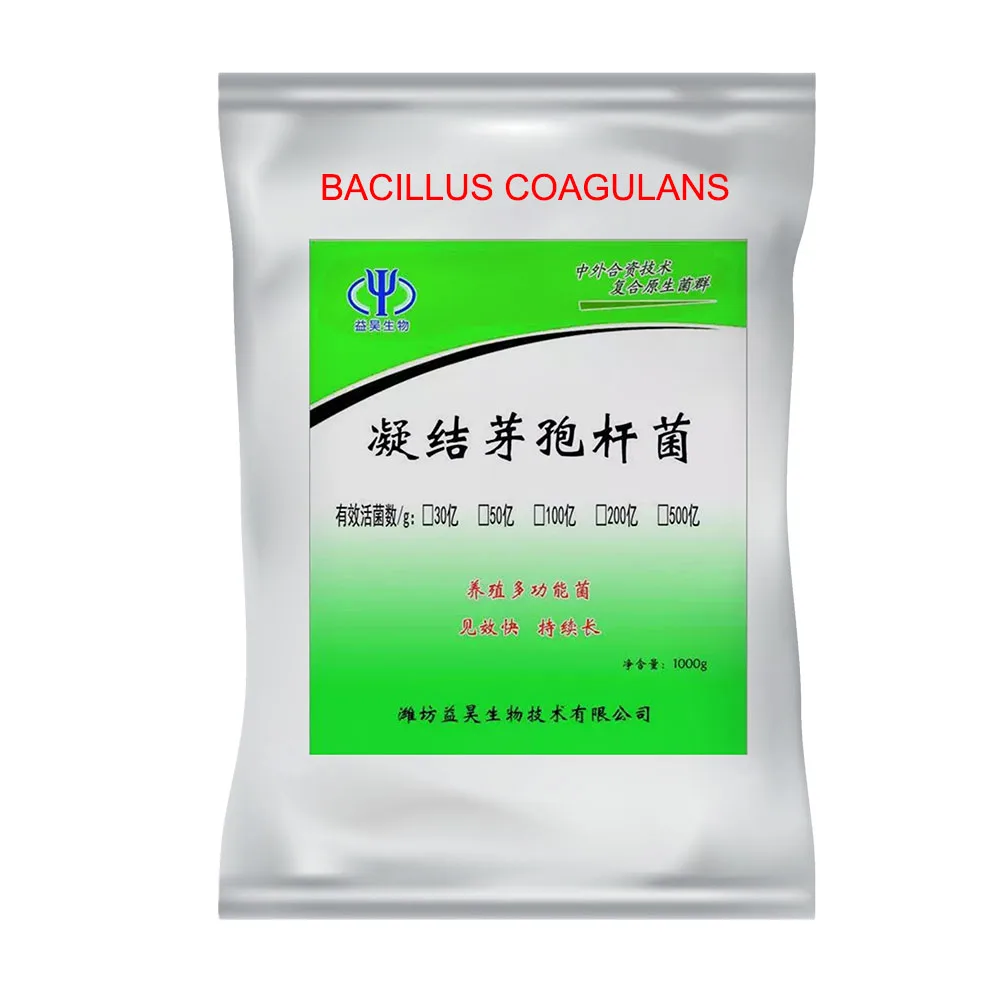 Oem Service Improve Animal Feed Intake 50 Billion Additives Probiotics Powder Bacillus Coagulans Poultry Feed Concentrate