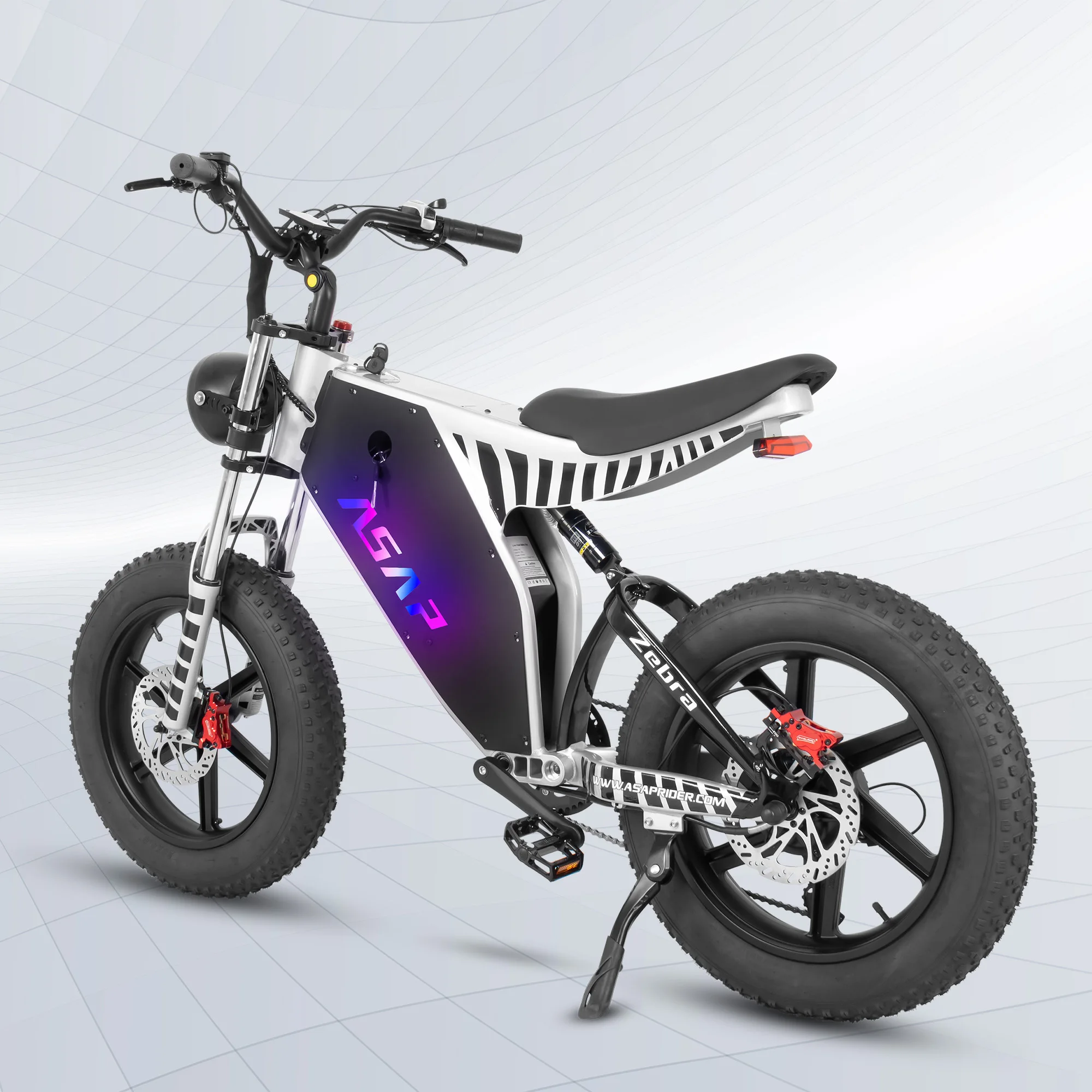 US Stock Equip 20 Inch Off Road Fat Tire Adult Bike Supply Full Suspension Electric Dirt Bikes