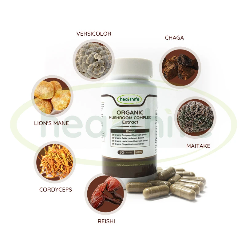 OEM 6 in 1 Cordyceps Militaris, Turkey Tail, Maitake, Chaga, Lion Mane, Reishi Complex Mushrooms Capsules