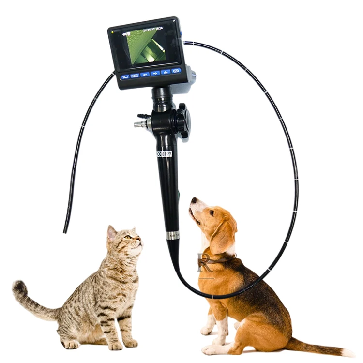 Ветеринарный эндоскоп, электронный ветеринарный гибкий эндоскоп, набор ветеринарных эндоскопов для домашних животных