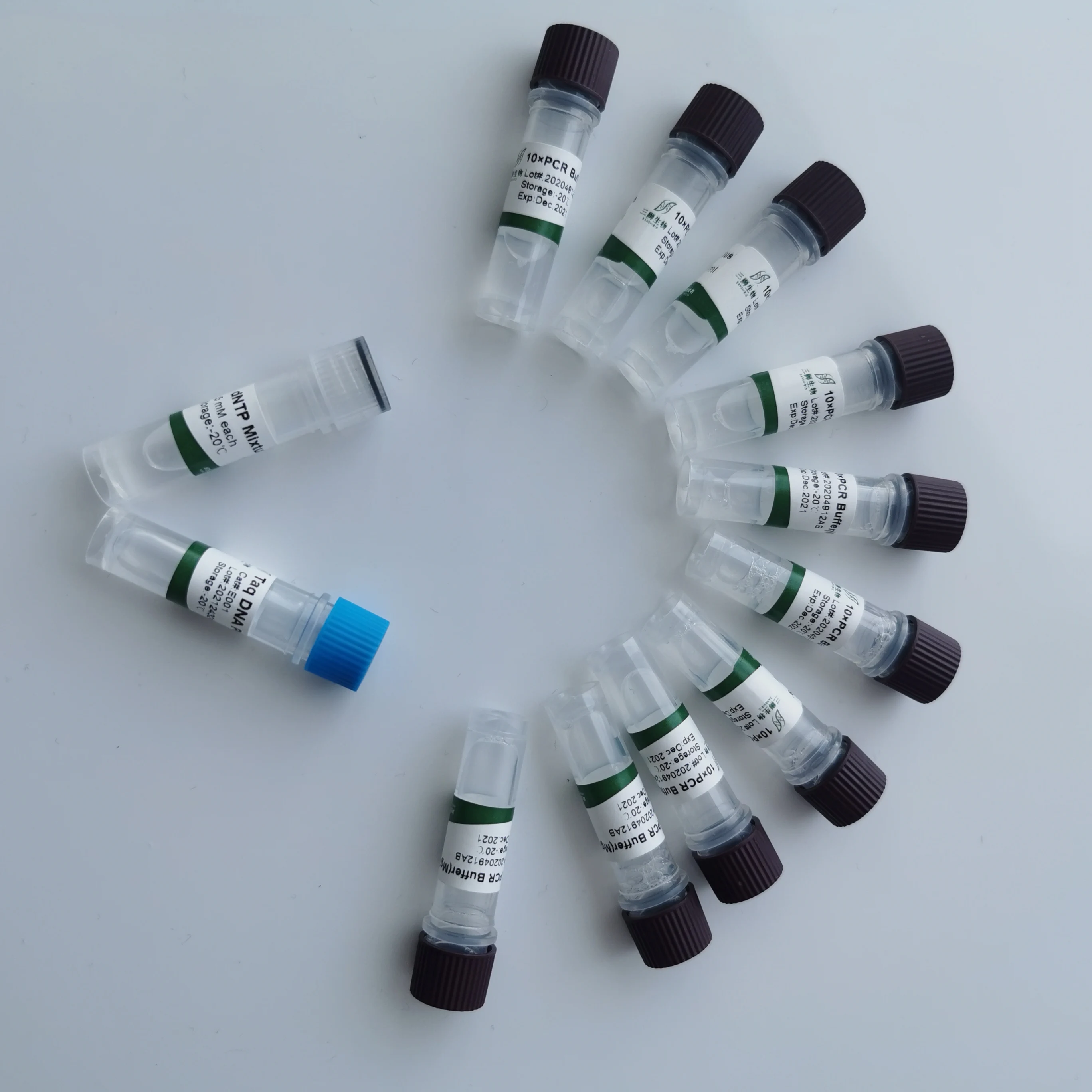  Best seller Taq DNA