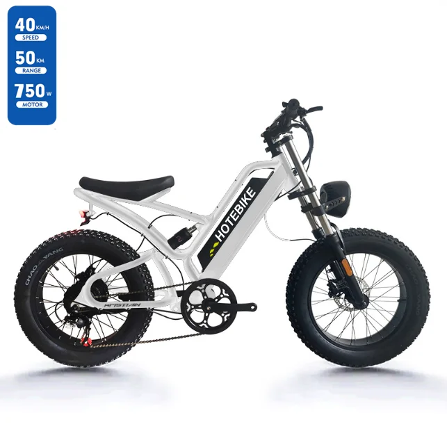 48V 500W e bike 20inch Electric bike road dirt electric bicycle for adult 750W import electric bike