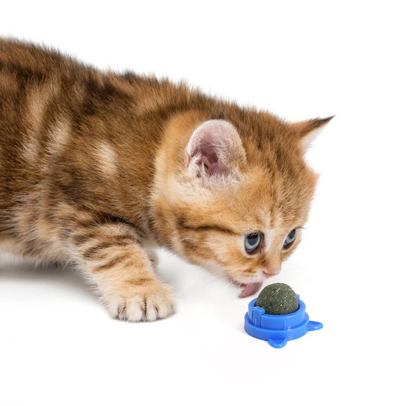 Pet Interactive Chew Ball Toy Pure Natural Catnip Ball  Hot Sell Rotatable Cat Toy Cat Teeth Cleaning Toy