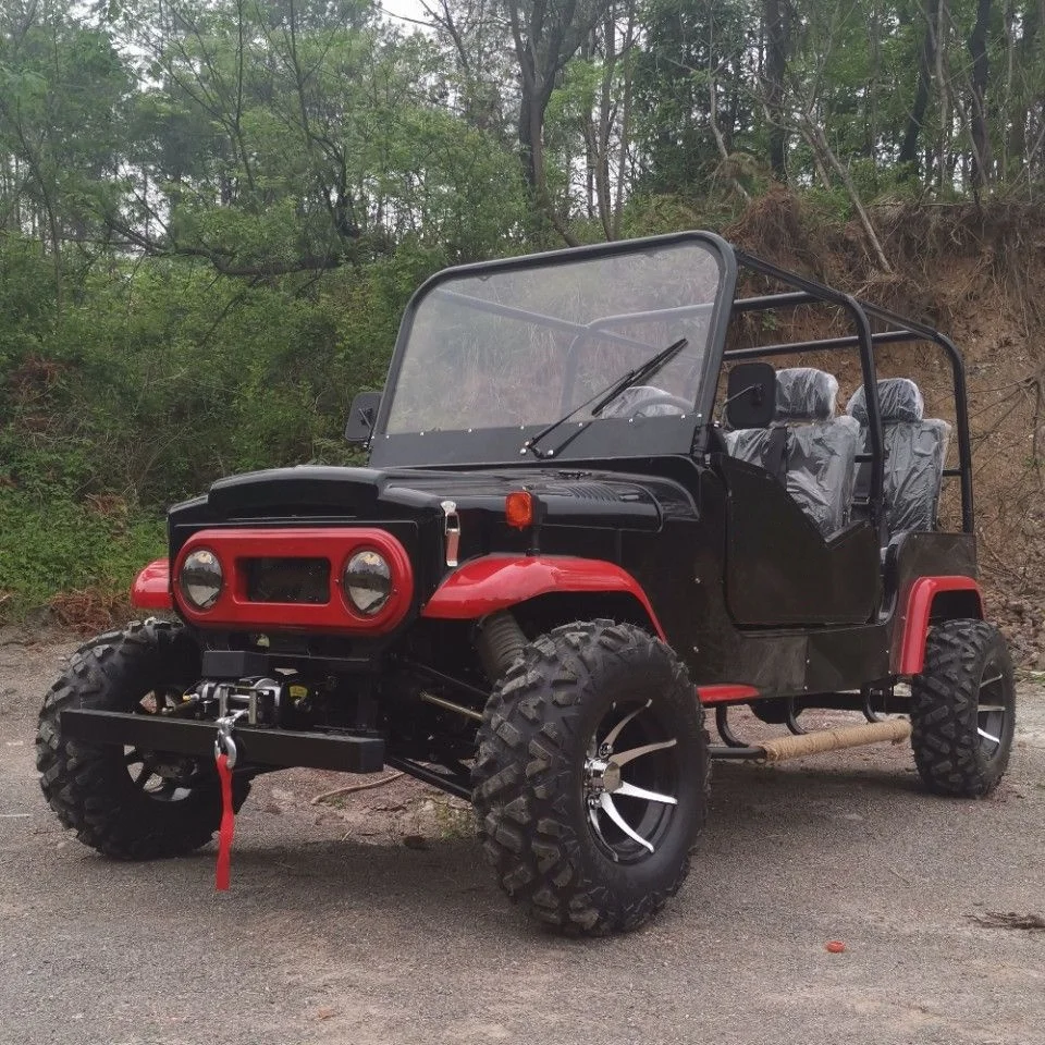 ATV-TY 2024 side by side quad automatic engine 4*4 drive 2 seats buddy 4WD shaft drive 320cc utv off road motorcycle