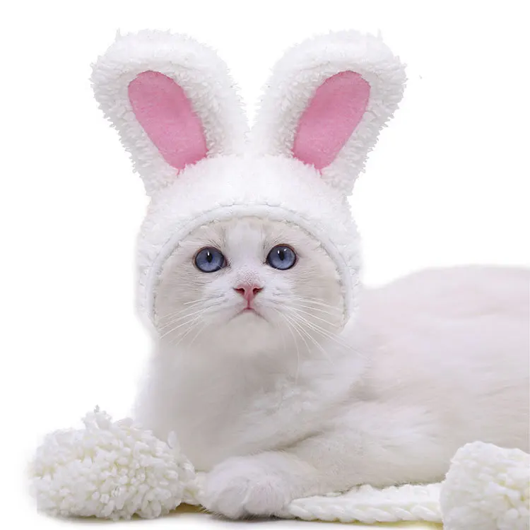 Cute warm comfortable cat hat dog white rabbit cotton wool small and medium-sized dog headgear autumn and winter
