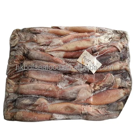 Fresh water Best Quality Seafood Frozen Argentina illex Squid