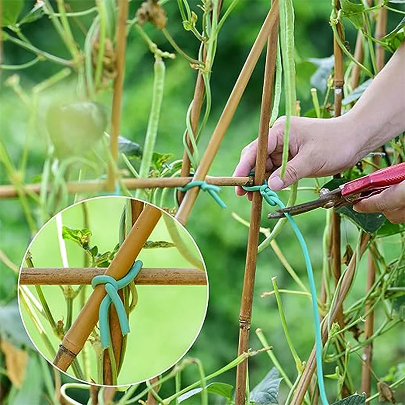 Customized Color PVC-Coated Galvanized Steel Wire for Planting for Grass Binding wires and Fabric Galvanized Wire for Garden Use