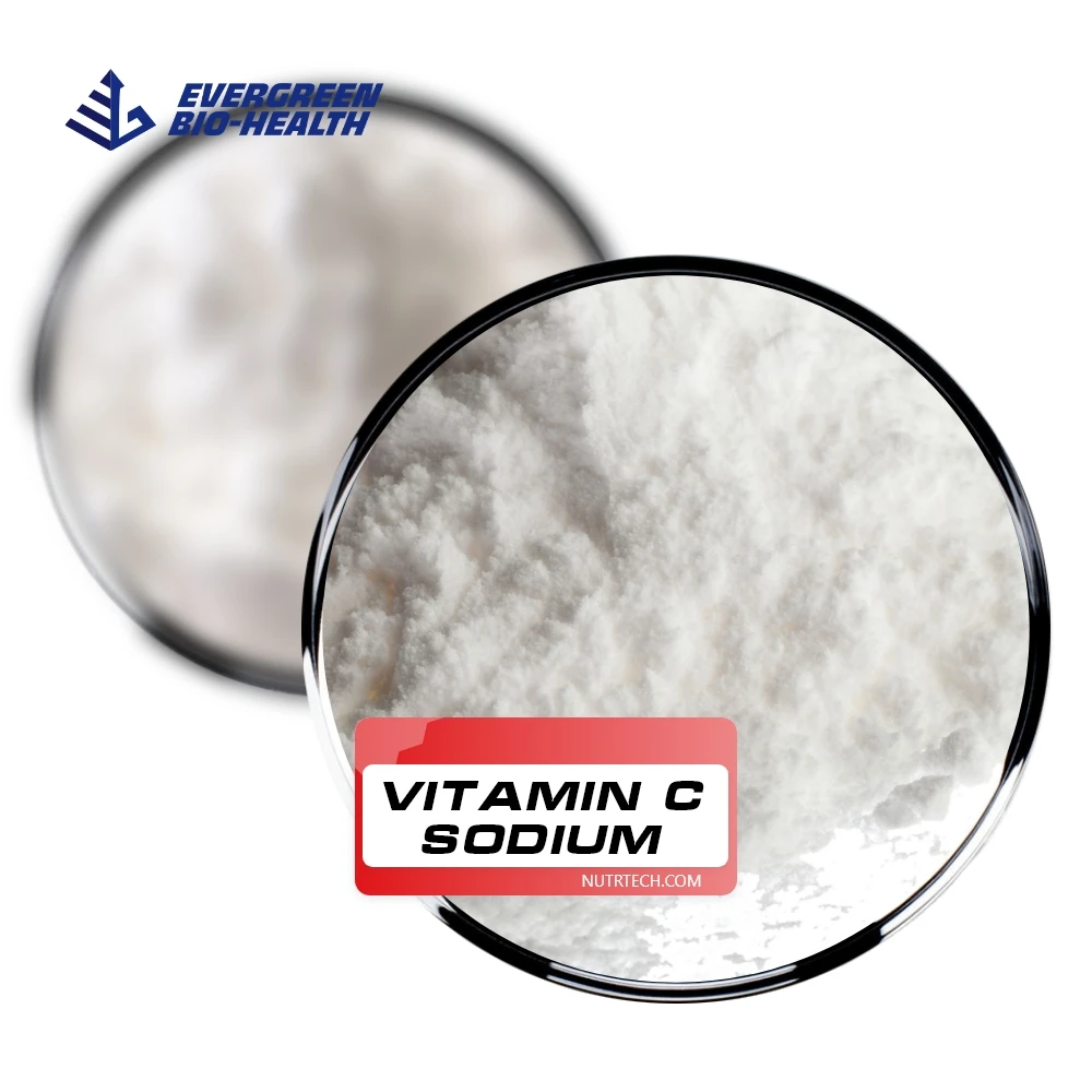 Vitamin C Sodium Ascorbate High Quality Food Grade Sodium Ascorbate Vitamin C Sodium with Manufacturers Price