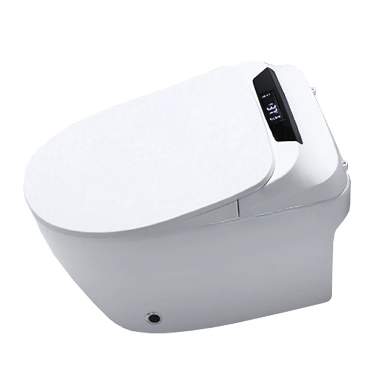 SALA Factory Directly Supply Cheap One Piece Children Single WC  Smart  Toilet