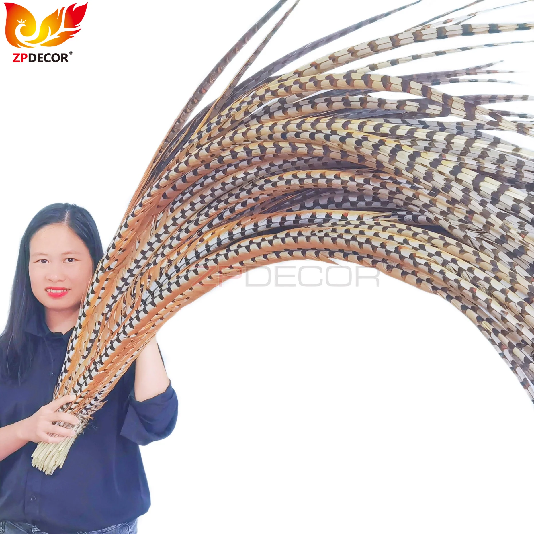 Zpdecor Feathers Wholesale Stock Super Long Natural Reeve Pheasant Tail Feathers for Carnival Costumes