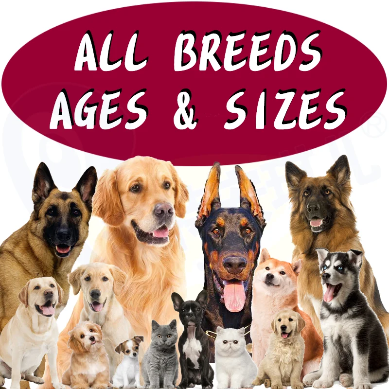 90 Soft Salmon Flavor Chews 10-in-1 Multivitamin Pet Vitamin Supplement Dogs Health Care Support Immunity Digestion Joint Heart