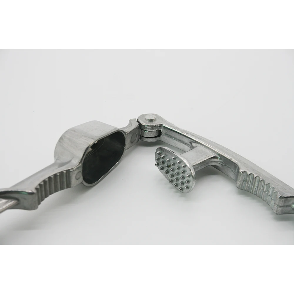 Kitchen Tools Garlic Crusher Peeler Ginger Garlic Mincer Tools Garlic Press