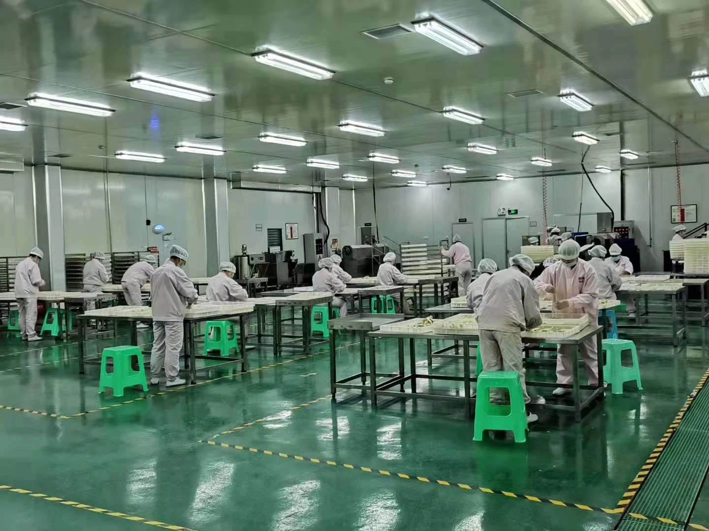 Dog Food Factory private label natural High Protein dog biscuits For Adult Pet Snack Dogs Treats