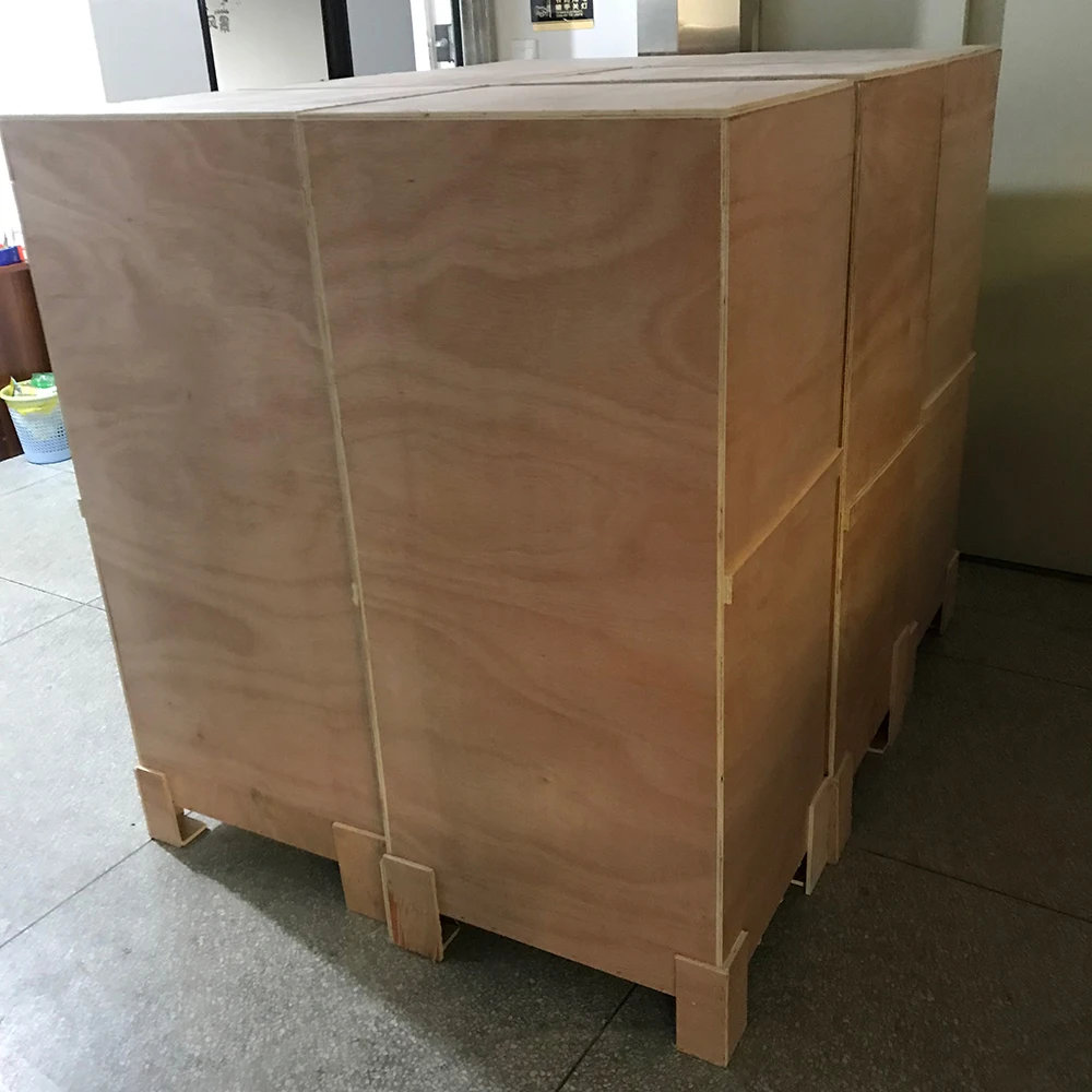  Automatic Vacuum Packing