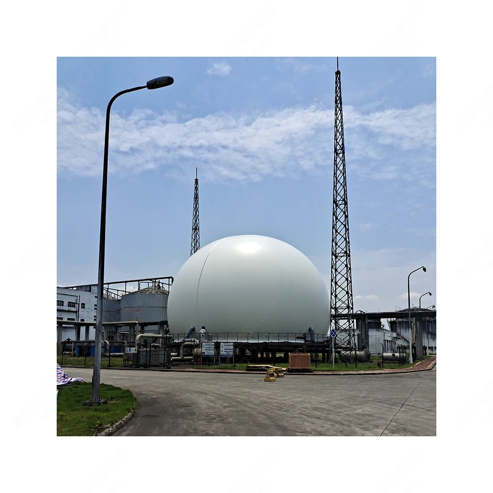 Haiyue Waterproof Collection PVC Material Storage Plant Cow Waste Biogas Balloon Chicken Poop Biogas