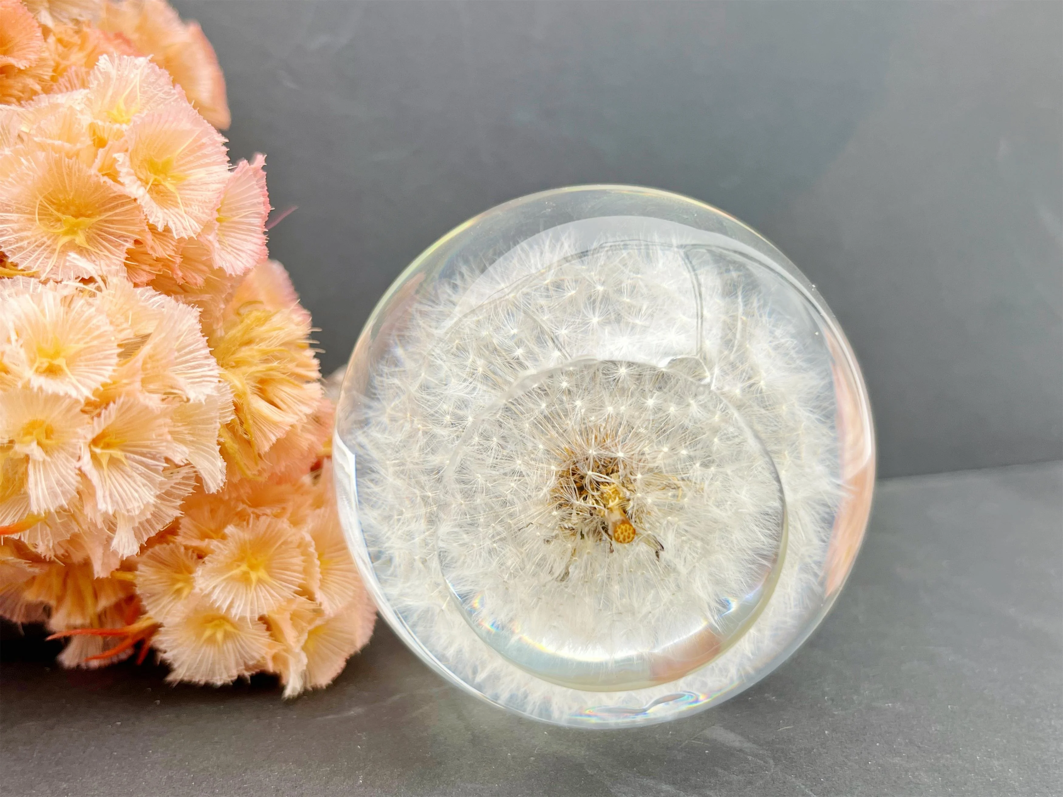 Unique Novelty Gift White Dandelion Paperweight Hand made Resin Globe Floral Crafts Valentine Festival Gift