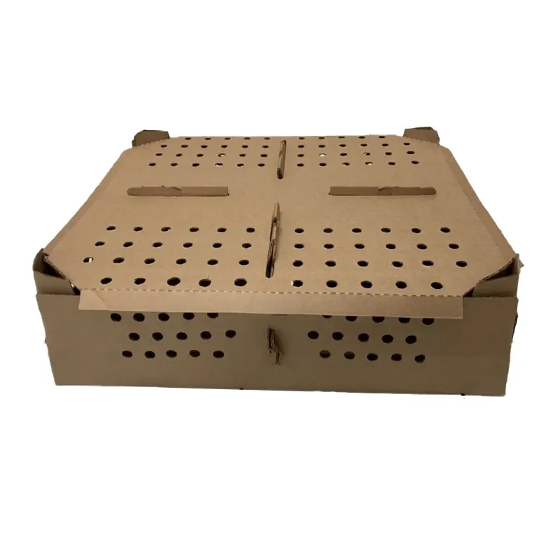 Transport poultry cardboard boxes chicken chick carton cardboard boxes for transport of chicks paper chick transport box