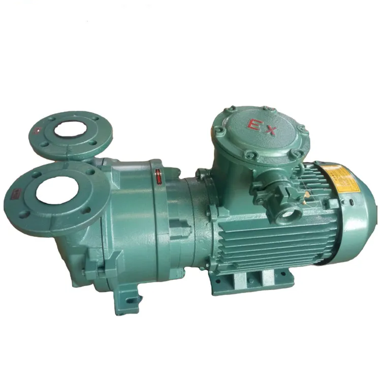 2bv Wholesale High Quality Horizontal  Single Stage Dolphin siemens Water  Liquid Ring Vacuum Pump