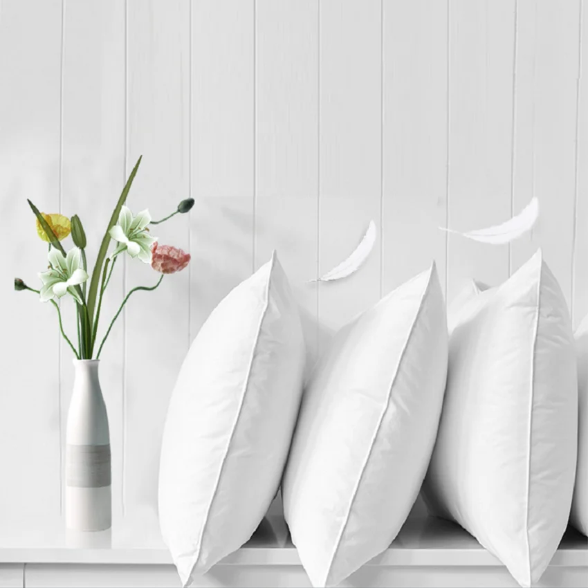 Big OEM Order Service Simple and pure cotton white goose down pillow twin Pack cushion sofa cushion
