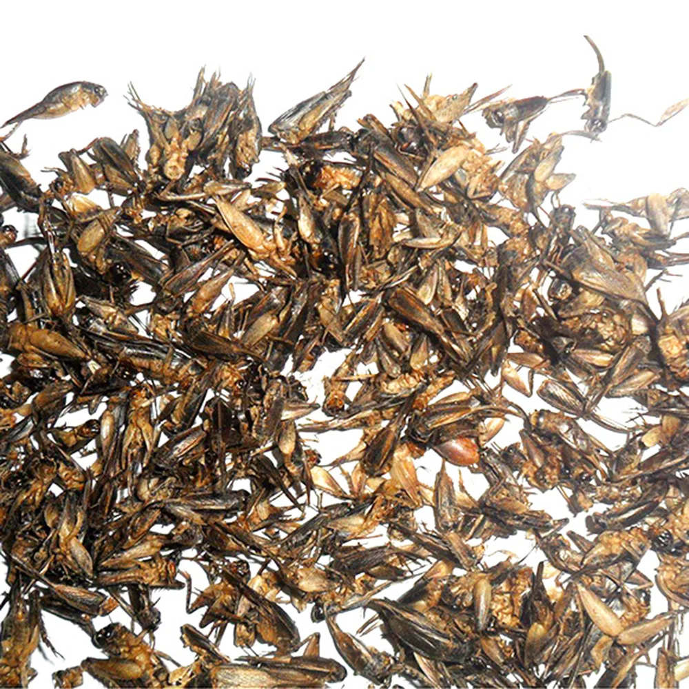 Factory direct supply Microwave dried cricket cricket, fish, bird and turtle pet food, high quality feed black soldier fly