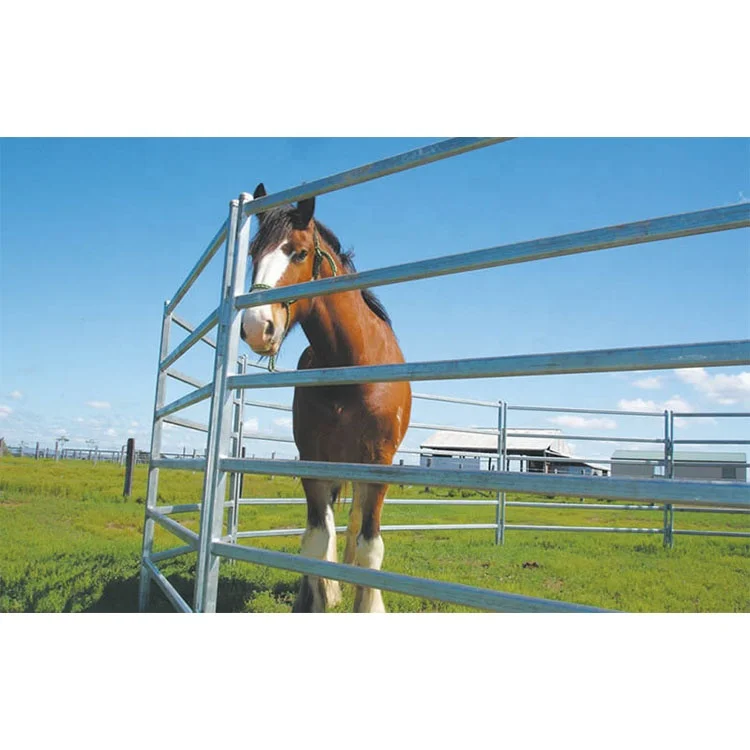 2023 Hot Selling 12 Ft Heavy Duty Livestock Cattle Corral Fence And Horse Round Pen Panels China factory wholesale