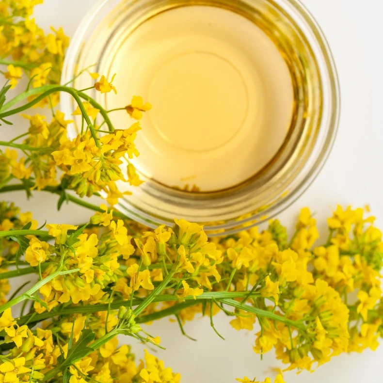 Порошковый продукт LA NUTRE OC 6400 на основе упаковки масла канолы, пластиковый оригинальный барабанный Тип 20 кг