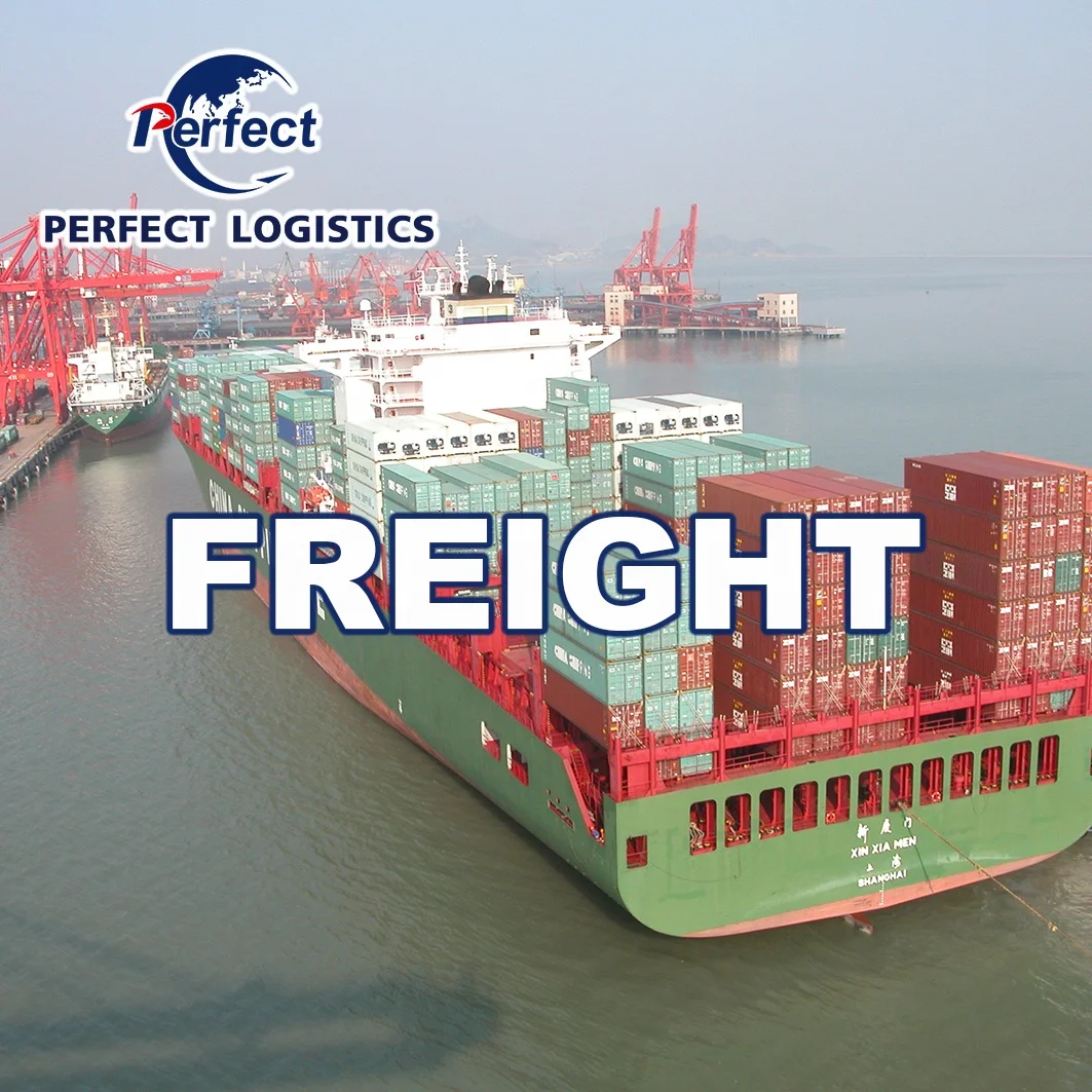 Railway Freight Shipping Agent Agencia De Transporte Cargo Agency Ddp Service Fast Shipping to Romania/Europe
