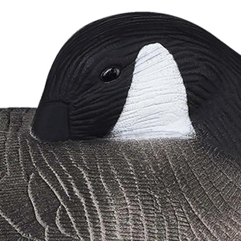 Goose Decoys  Material EVA Collapsible 3D Hunting Decoys  EVA Soft Plastic Canadia Goose