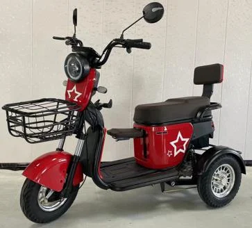 Powerful 600W Differential Motor New Fashionable Electric Passenger Tricycle with 48v Voltage Three Wheels for Adults
