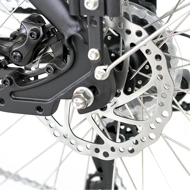 BODO 3 колесный Электрический грузовой велосипед/трехколесный Электрический грузовой велосипед 250 Вт бесщеточный двигатель Bafang