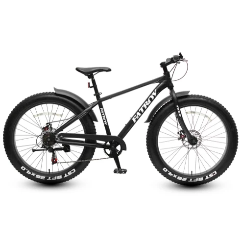 Manufacture wholesale tianjin factory price china fat bike bike ican for men