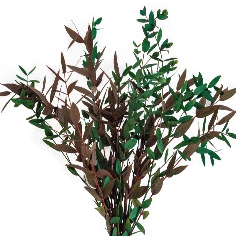 Yunnan, горячая Распродажа, 60 г/упак., около 10 стеблей на бутон, сохраненный цвет, листья эвкалипта parvafolia