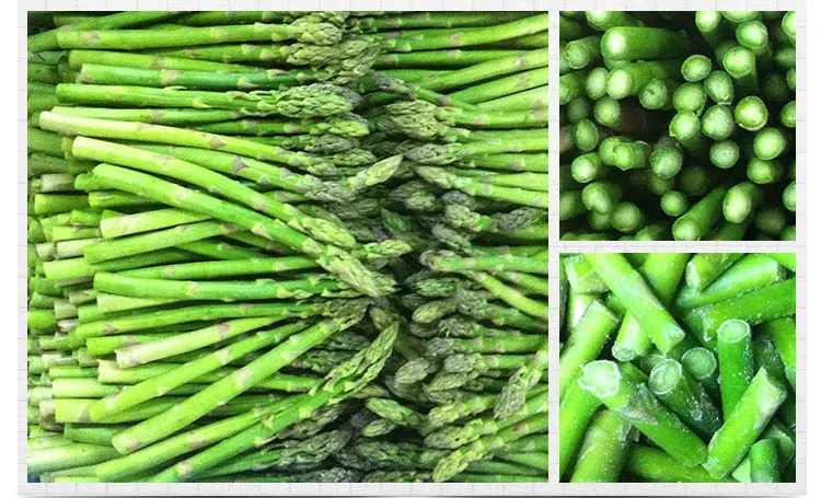 Frozen Green Asparagus in Bulk Common Cultivation Type