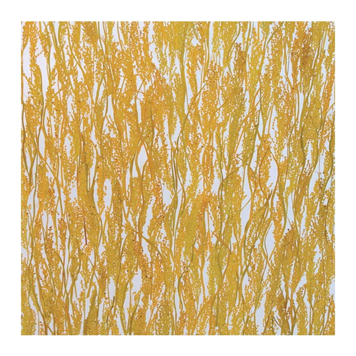 translucent acrylic resin sandwich panel partition decor