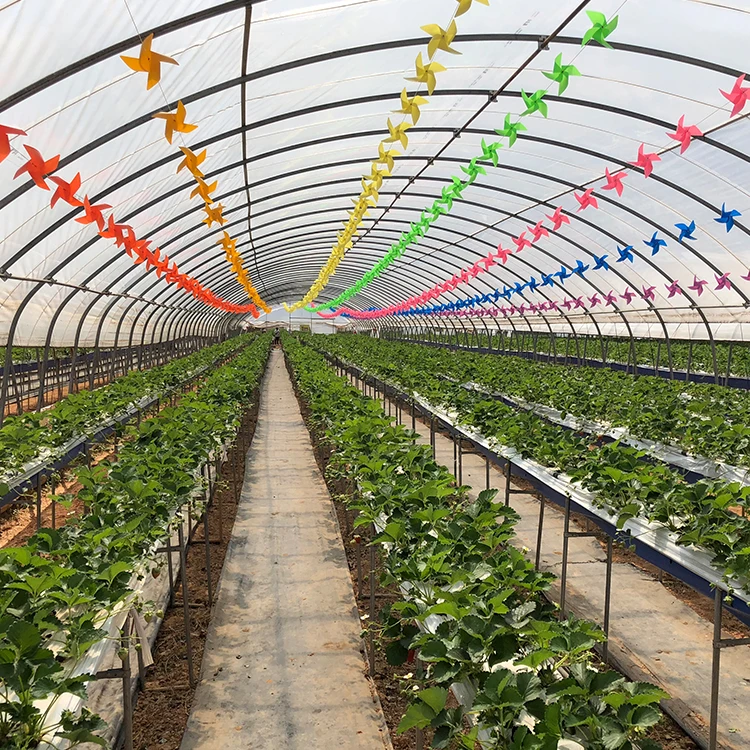 High Quality 200 Micron UV Resistant Clear Plastic Greenhouse Film Large UV Plastic for Greenhouses and Plastic Sheds